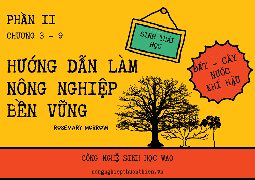 alt text của ảnh giải pháp cải tạo đất ruộng trồng rau